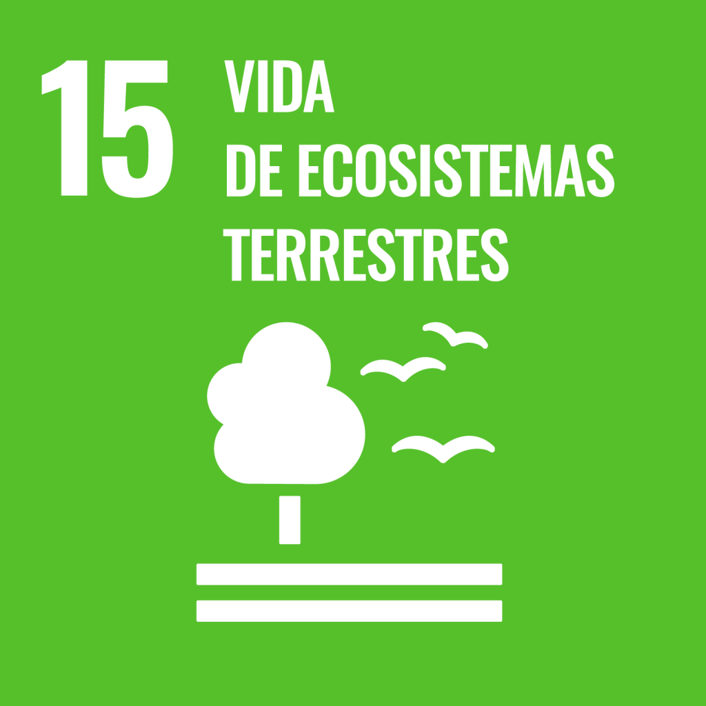 15 - Vida de ecosistemas terrestres