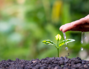 Declaración de Río sobre el medio ambiente y el desarrollo