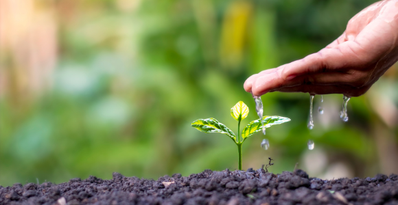 Declaración de Río sobre el medio ambiente y el desarrollo