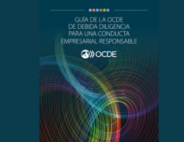 Guía de la OCDE de Debida Diligencia para una Conducta Empresarial Responsable