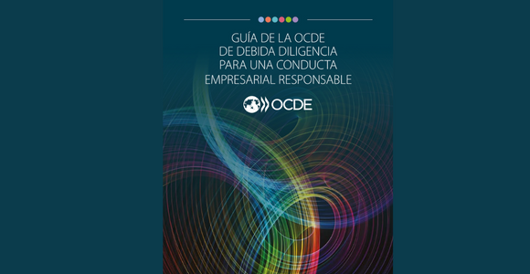 Guía de la OCDE de Debida Diligencia para una Conducta Empresarial Responsable