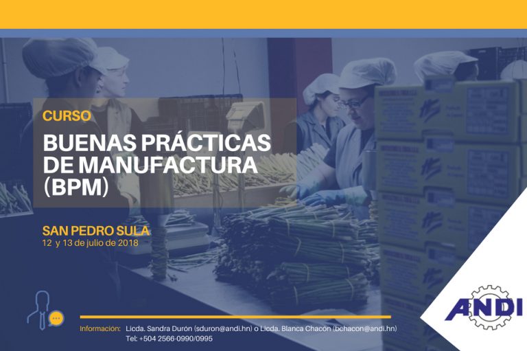 Curso: Buenas Prácticas de Manufactura (BPM)