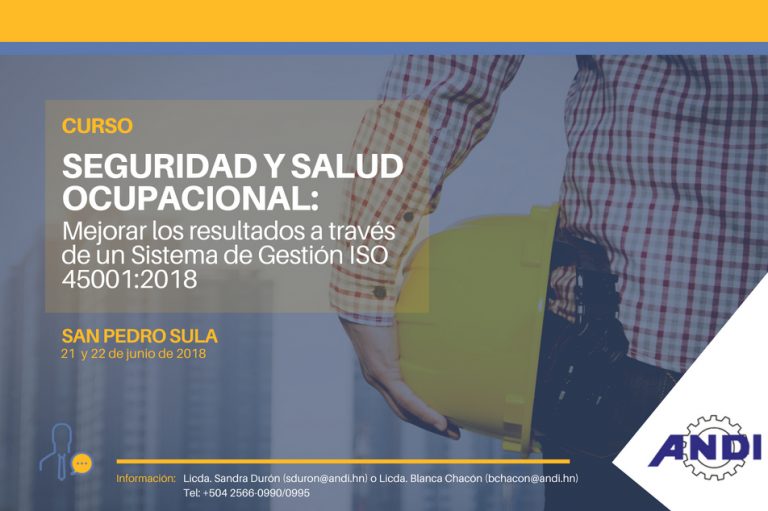 Curso: Seguridad y Salud Ocupacional