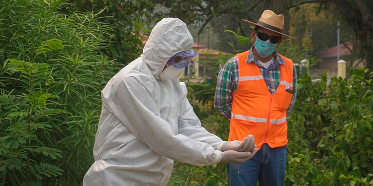 Azucareros se capacitan en reforzar protocolos de bioseguridad